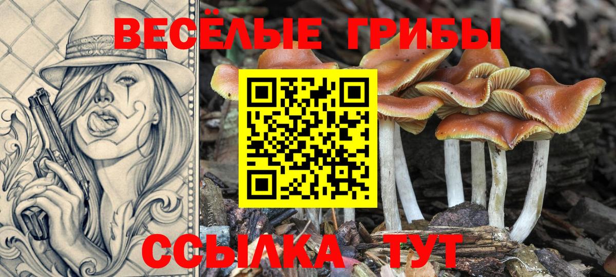Псилоцибиновые грибы мицелий Бугуруслан