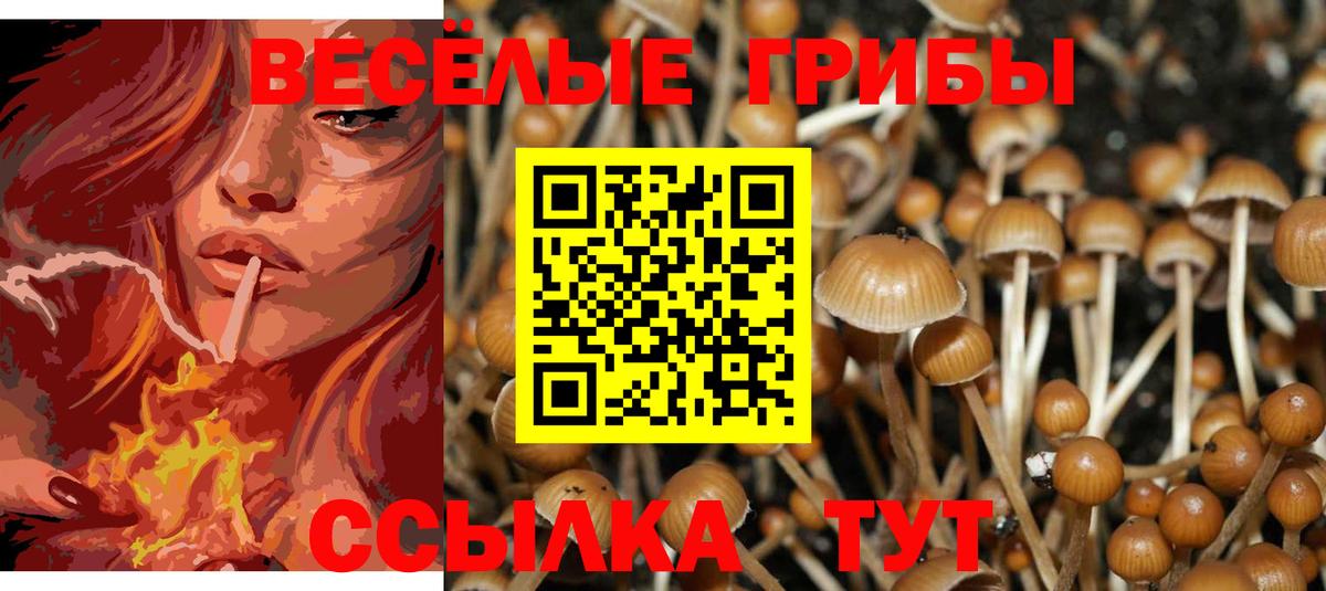Псилоцибиновые грибы MAGIC MUSHROOMS  Вход с VPN  Бугуруслан 